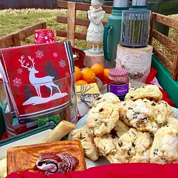A Holiday Stroll Up Apple Hill