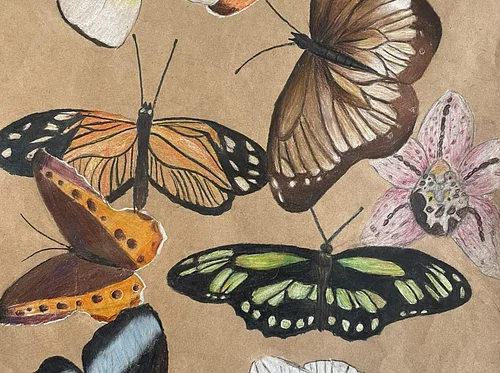 Emergence: Swift Creek Middle School Exhibit