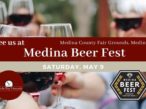 Medina Beer Fest