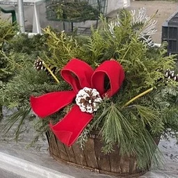 Oval Basket Planter - Shady Lane Greenhouse