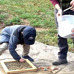 International Archaeology Day