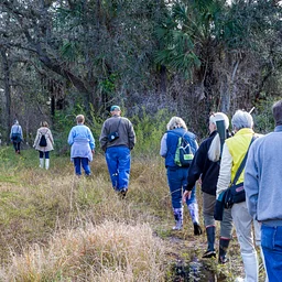 Pine Island Preserve Guided Walk