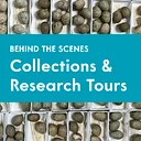 Collections & Research Tours: Behind the Scenes