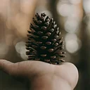 Rooted in Wellness: Eco-Friendly Holidays