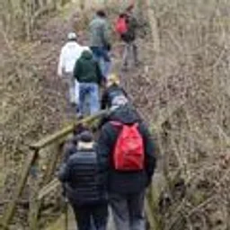 Hike with a Naturalist