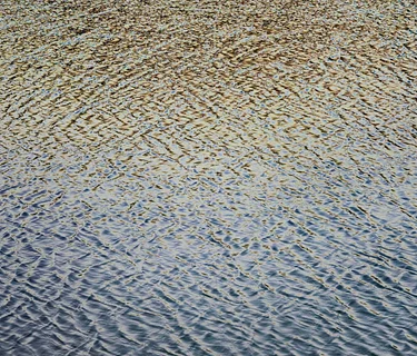 Exhibit—The State of Water