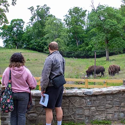 Trail Trek: Virginia Wildlife Trail Guided Tour