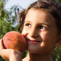 Sukkot & Simchat Torah Celebration