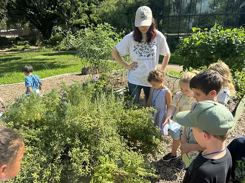 Discovery Crew: Teen Leadership Summer Program, Ages 13-17
