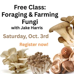 Free Class: Fall Mushroom Foraging & Farming