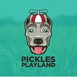 Pickles Playland