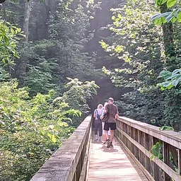 Golden Morning Walkers Club