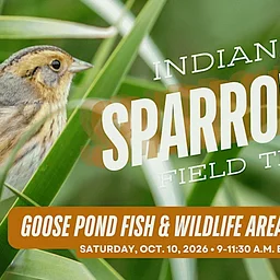 Indiana Audubon Sparrow ID Field Trip: Goose Pond FWA
