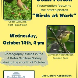 “Birds at Work”