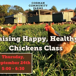 Raising Happy, Healthy Chickens, September 24th