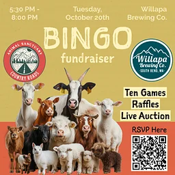 🐾🎉 BINGO NIGHT FOR THE ANIMALS! 🎉🐾
