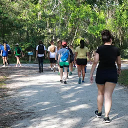 Guided Exploration Hike