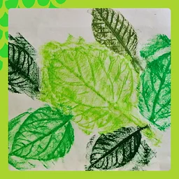 Maker Studio: Nature's Patterns