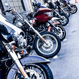 Bike Night