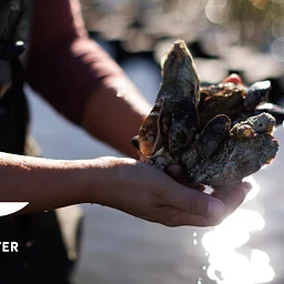 Elizabeth River Project