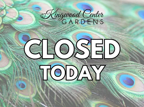 Closed today