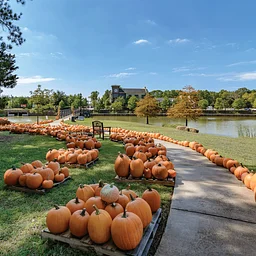 Junior League of Shreveport-Bossier’s Pumpkin Patch 2026