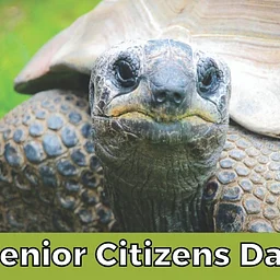 Senior Citizens Day