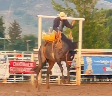 Caribou County Fair and Rodeo