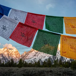 Sunday, October 25, 2026 9:00 am - 6:00 pm, Center for the Arts, Jackson, WY $385.00 View Course7 Seats Available Wilderness First Responder - Hybrid Course