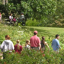 Free Saturday Tours