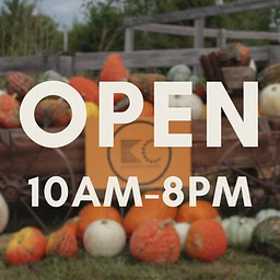 Fall Festival {ticketed, family-friendly}