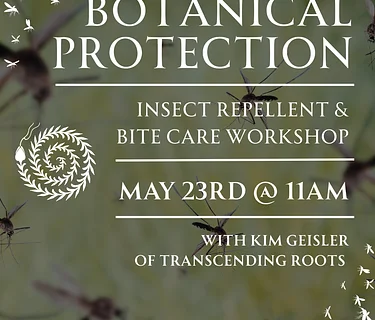Botanical Workshop with Kim Geisler