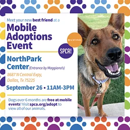 Mobile Adoptions at NorthPark Center