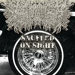 PeelingFlesh, Snuffed On Sight, Mongrel, Grounds For Assault, Flesh