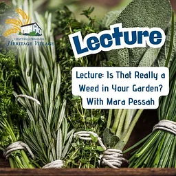 Lecture: Is That Really a Weed in Your Garden?