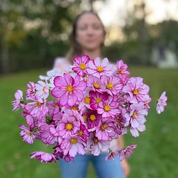 FLIGHTS & FLEURS WITH NOUVEAU FLOWER FARM JULY 16th 5:30pm