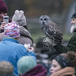 Autumn & Owls Campfire