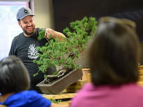 Austin Bonsai Society March Meeting