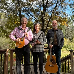 The Elderberries- Musician Trio
