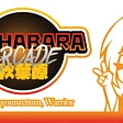 Akihabara Arcade