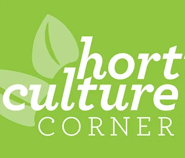 Horticulture Corner