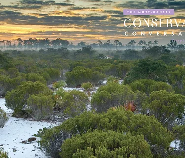 Protecting Florida’s Wild Landscapes: A Conversation with Dr. Hilary Swain