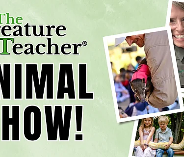 The Creature Teacher!