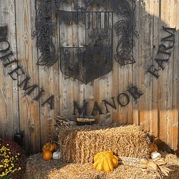 Harvest Fest