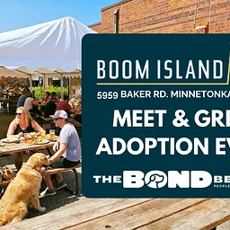 The Bond Between Adoption Event