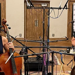 Willy Porter & The Humans In A Room Quartet