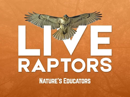 Live Raptors