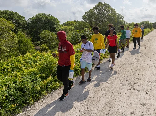 MUVE City Nature Challenge BioBlitz