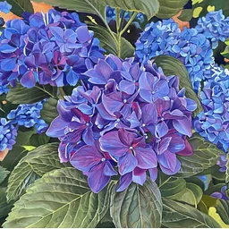 WORKSHOP: Hydrangeas in Pastels