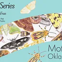 Moths of Oklahoma